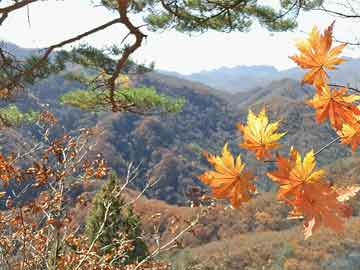 泽连斯基启程前往土耳其