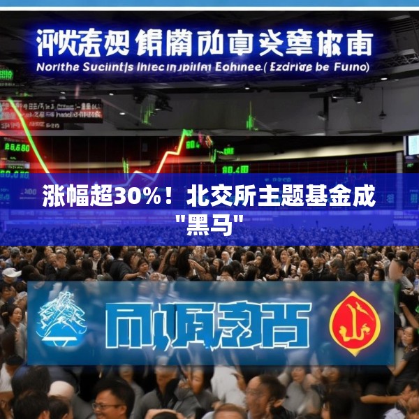 涨幅超30%！北交所主题基金成