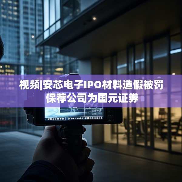 视频|安芯电子IPO材料造假被罚 保荐公司为国元证券