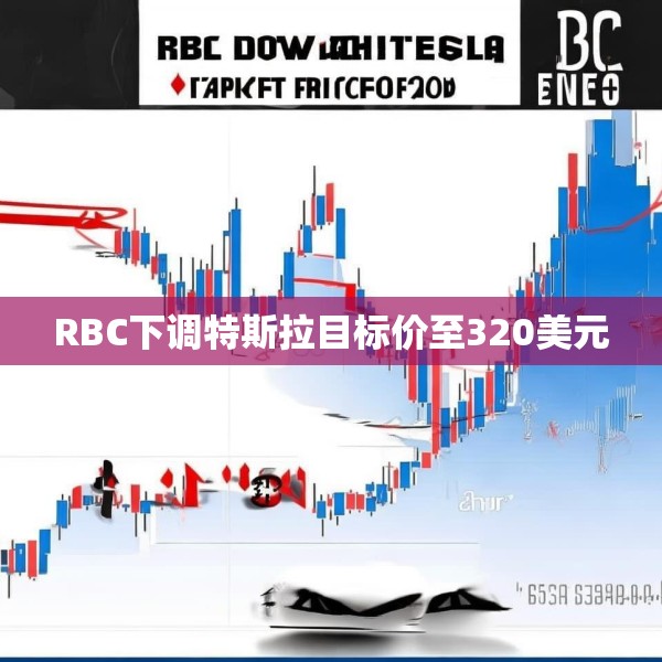 RBC下调特斯拉目标价至320美元