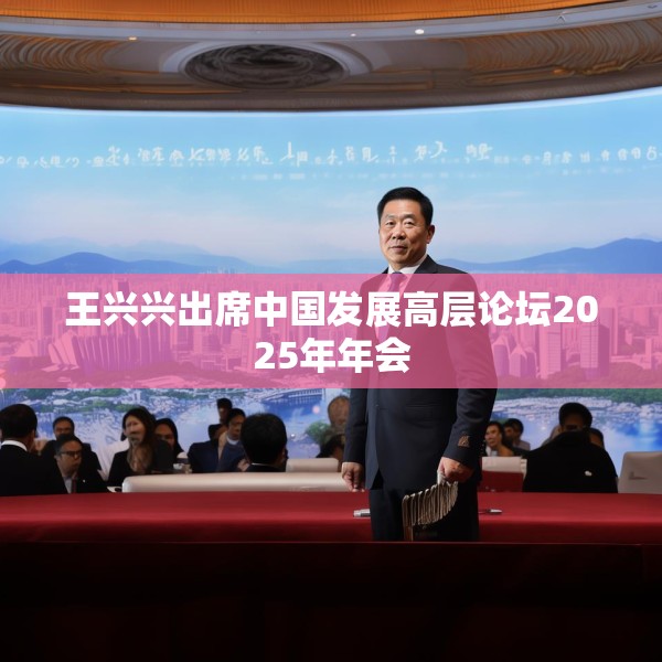 王兴兴出席中国发展高层论坛2025年年会