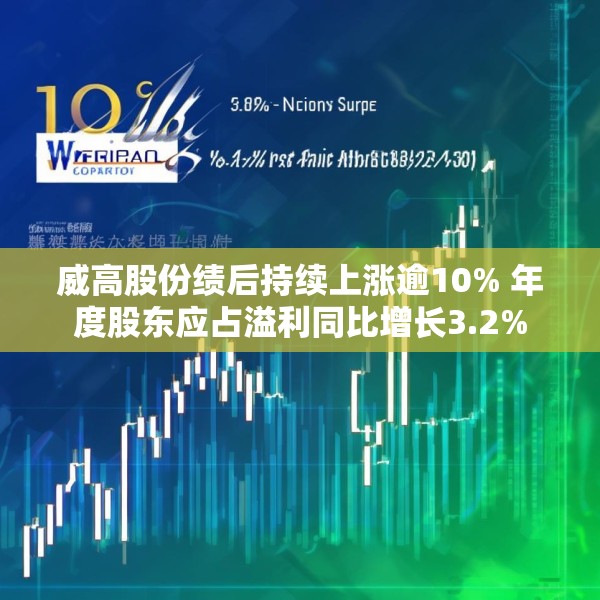 威高股份绩后持续上涨逾10% 年度股东应占溢利同比增长3.2%