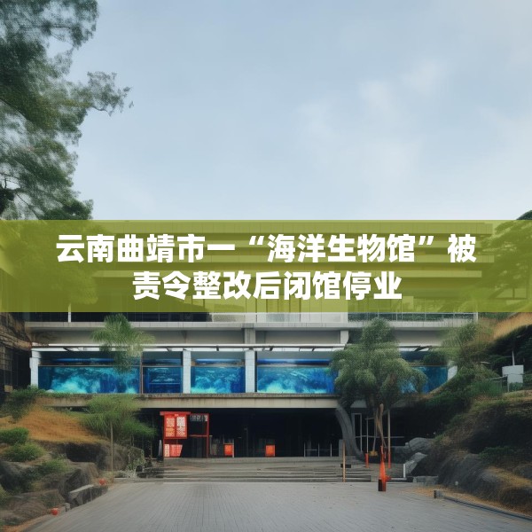 云南曲靖市一“海洋生物馆”被责令整改后闭馆停业