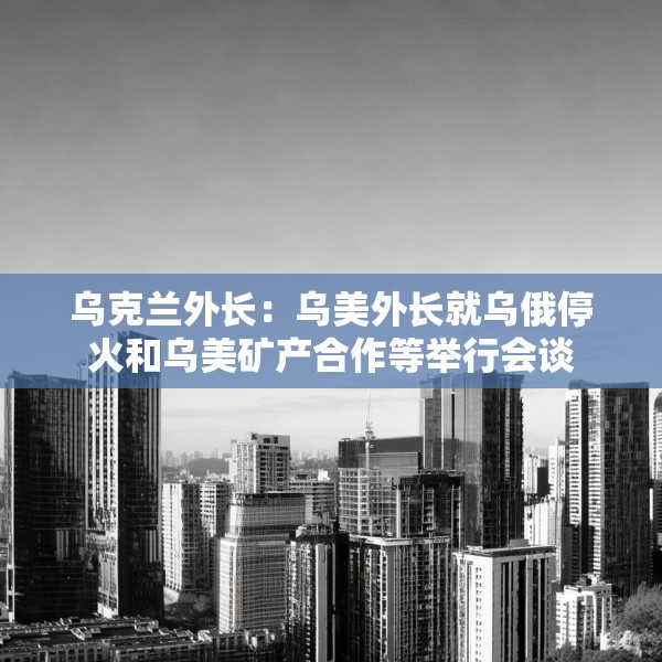 乌克兰外长：乌美外长就乌俄停火和乌美矿产合作等举行会谈