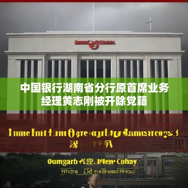 中国银行湖南省分行原首席业务经理黄志刚被开除党籍