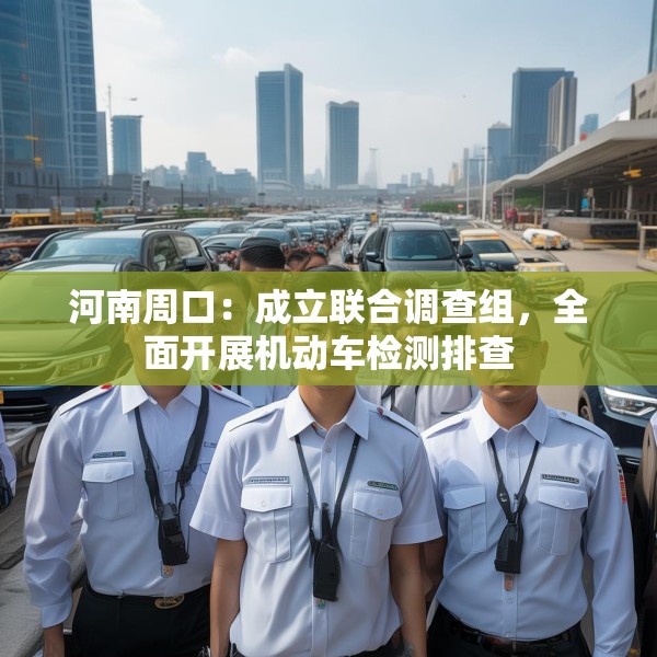 河南周口：成立联合调查组，全面开展机动车检测排查