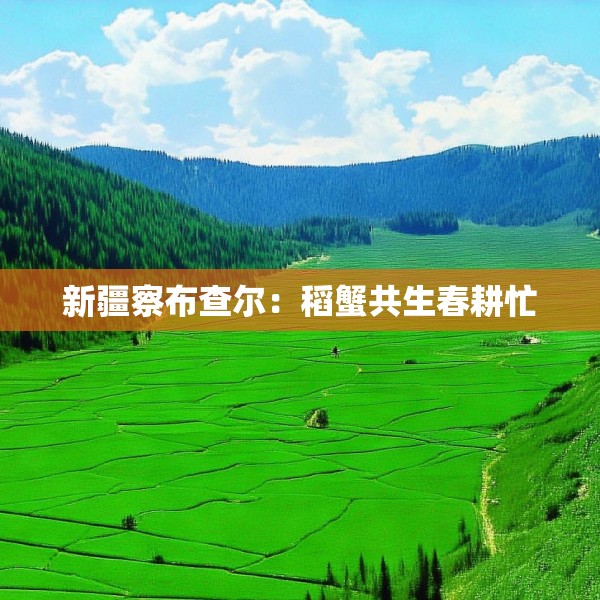 新疆察布查尔：稻蟹共生春耕忙
