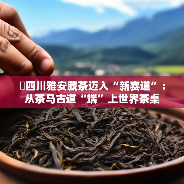 ​四川雅安藏茶迈入“新赛道”：从茶马古道“端”上世界茶桌
