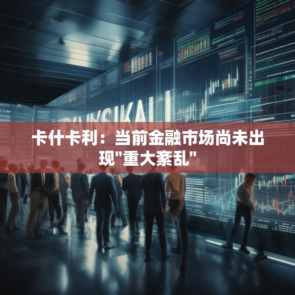 卡什卡利：当前金融市场尚未出现