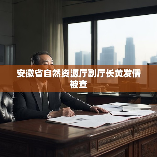 安徽省自然资源厅副厅长黄发儒被查