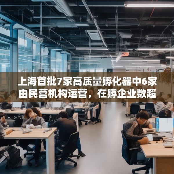 上海首批7家高质量孵化器中6家由民营机构运营，在孵企业数超200家