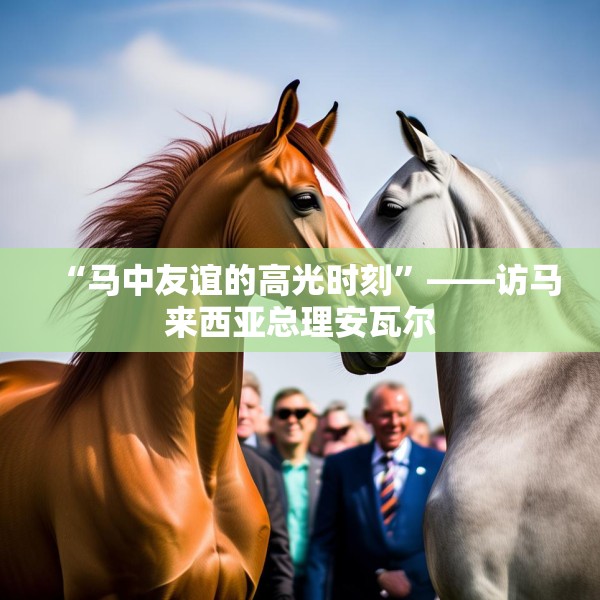 “马中友谊的高光时刻”——访马来西亚总理安瓦尔