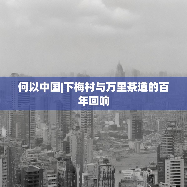 何以中国|下梅村与万里茶道的百年回响