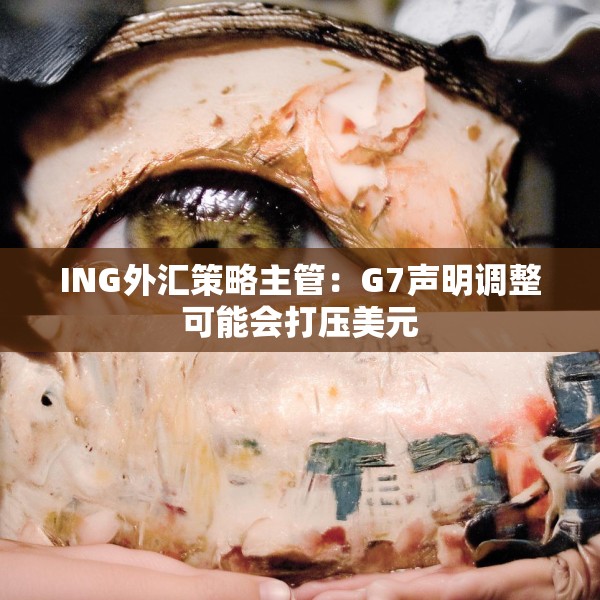ING外汇策略主管：G7声明调整可能会打压美元