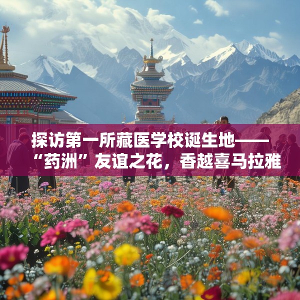 探访第一所藏医学校诞生地——“药洲”友谊之花，香越喜马拉雅（边城见闻）