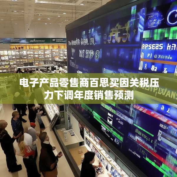 电子产品零售商百思买因关税压力下调年度销售预测
