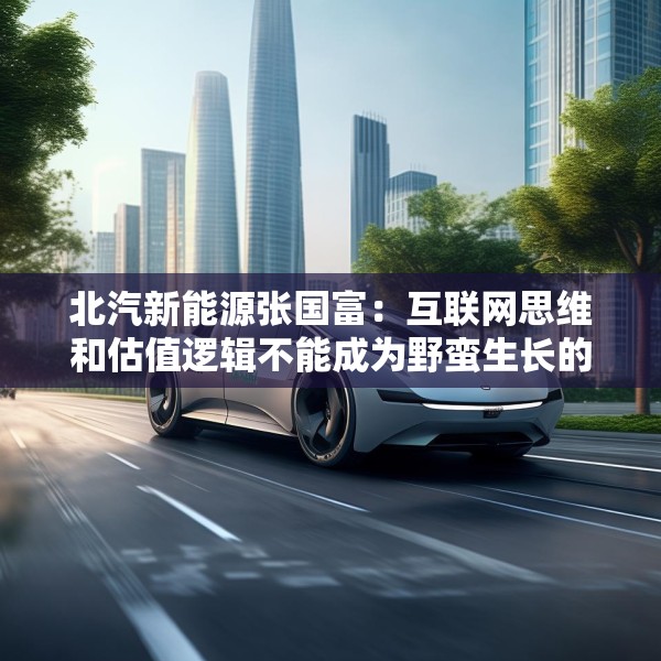 北汽新能源张国富：互联网思维和估值逻辑不能成为野蛮生长的理由