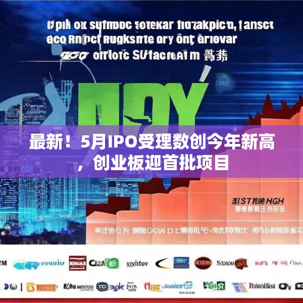 最新！5月IPO受理数创今年新高，创业板迎首批项目