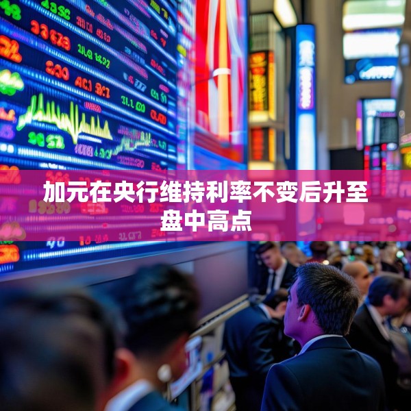 加元在央行维持利率不变后升至盘中高点