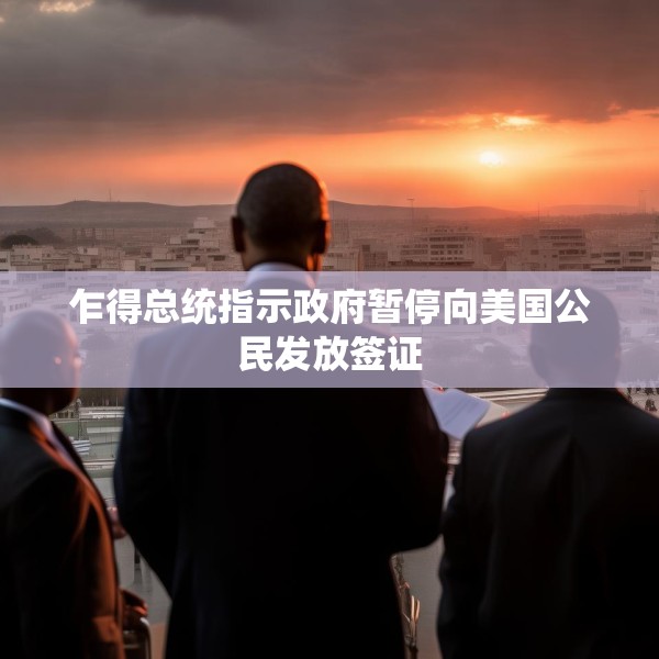 乍得总统指示政府暂停向美国公民发放签证