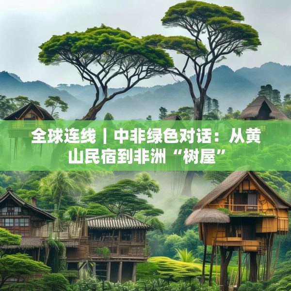 全球连线｜中非绿色对话：从黄山民宿到非洲“树屋”