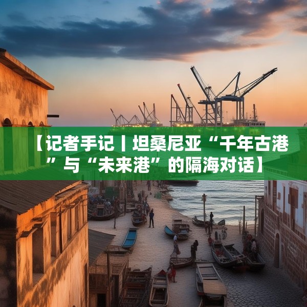 【记者手记丨坦桑尼亚“千年古港”与“未来港”的隔海对话】