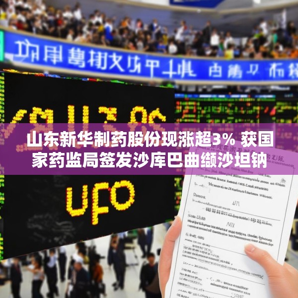 2025年6月12日 第11页