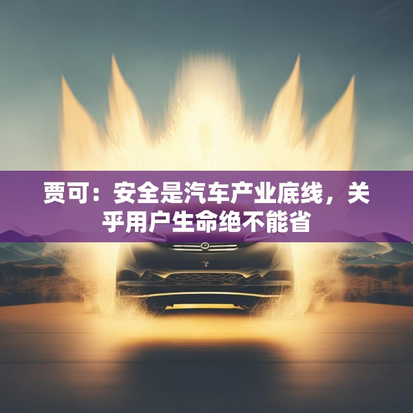 贾可：安全是汽车产业底线，关乎用户生命绝不能省