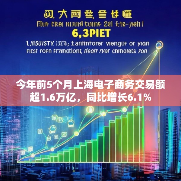 今年前5个月上海电子商务交易额超1.6万亿，同比增长6.1%